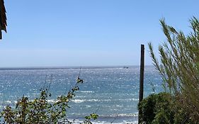 Au Bord De La Mer